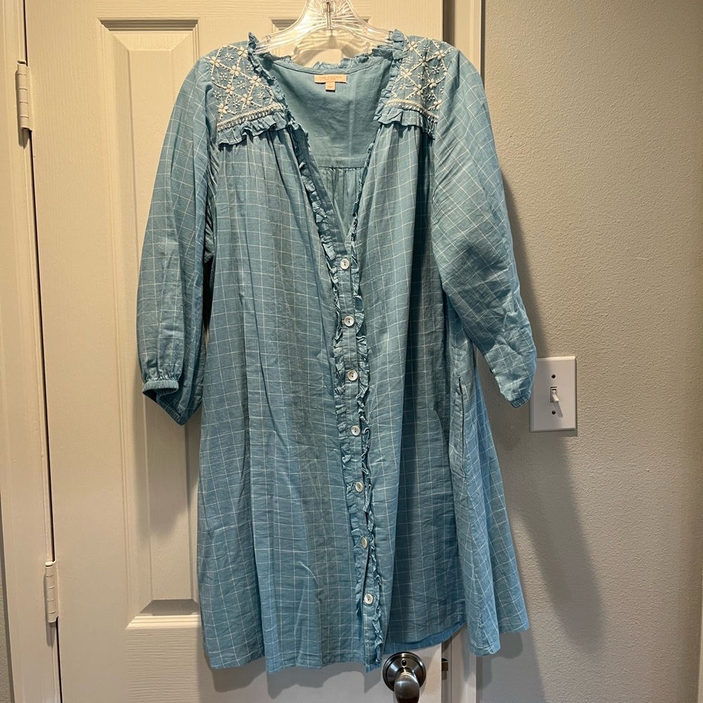 Pink Chicken Blue Dress with Embroidered Details